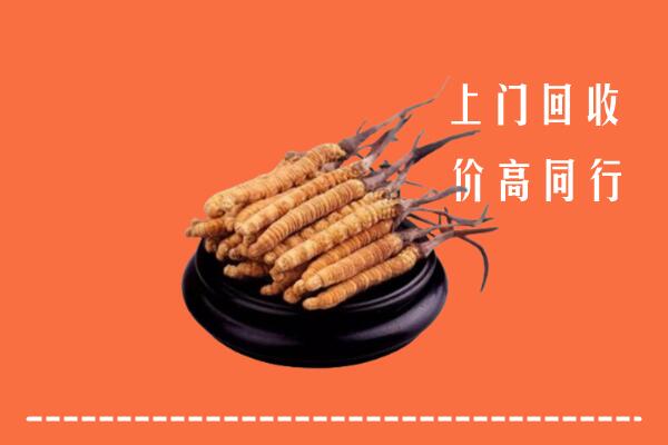 高价求购：朔州平鲁回收散虫草
