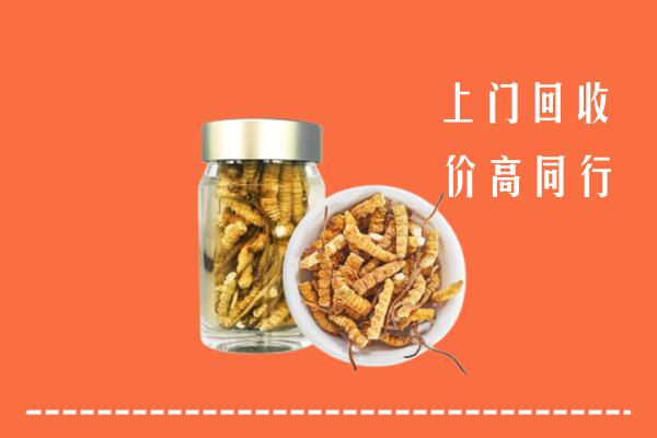 朔州平鲁回收冬虫夏草