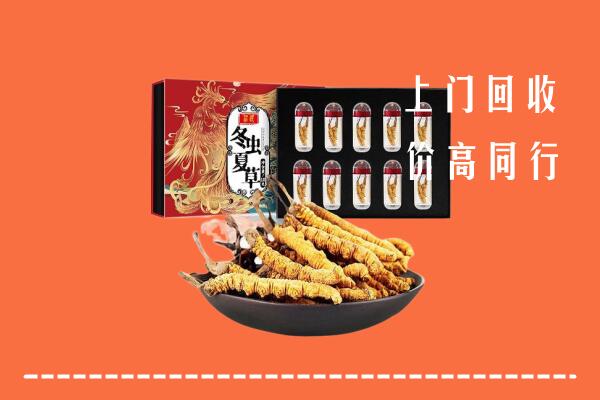 朔州平鲁回收虫草